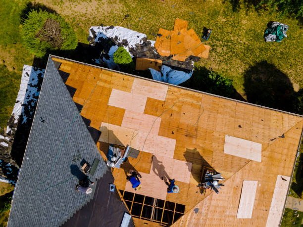 Best Roof Replacement Cost  in Grenada, MS
